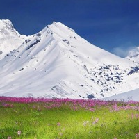 サンプル2治療院サンプル2edit test 0910